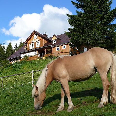 Chata Sohajka Hotel Pec pod Sněžkou Kültér fotó
